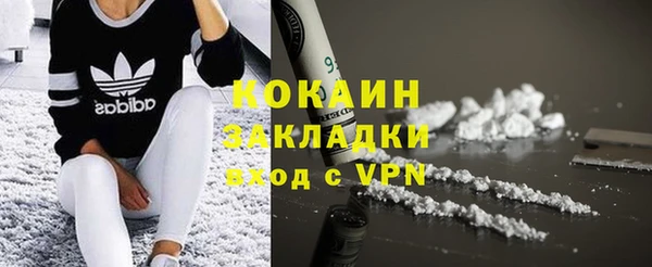 крисы Абаза