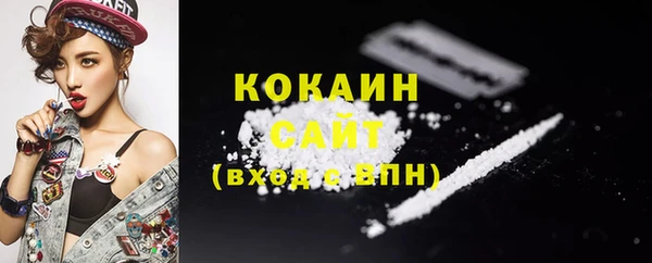 крисы Абаза