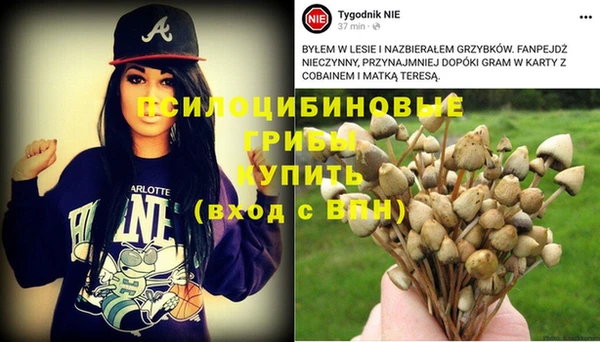 тгк Абдулино