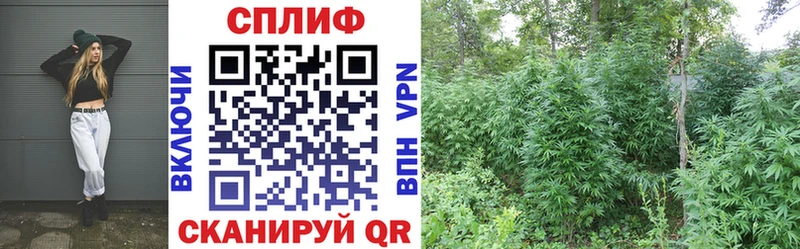 цена Канск Бошки Шишки ГИДРОПОН